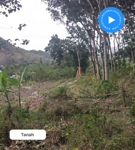Di jual Tanah kavling ukuran 15 x 50m