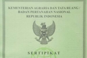 Galeri (1)