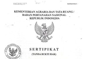 Galeri (1)