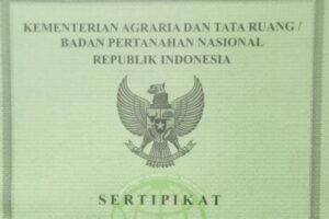 Galeri (2)