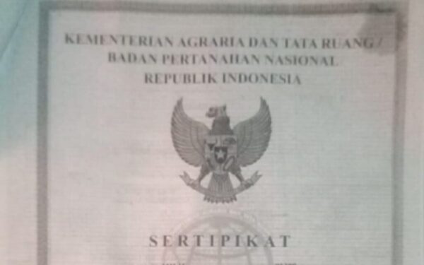 Galeri (2)