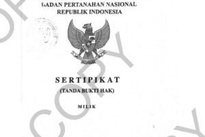 Galeri (3)