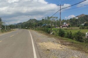 Galeri (3)