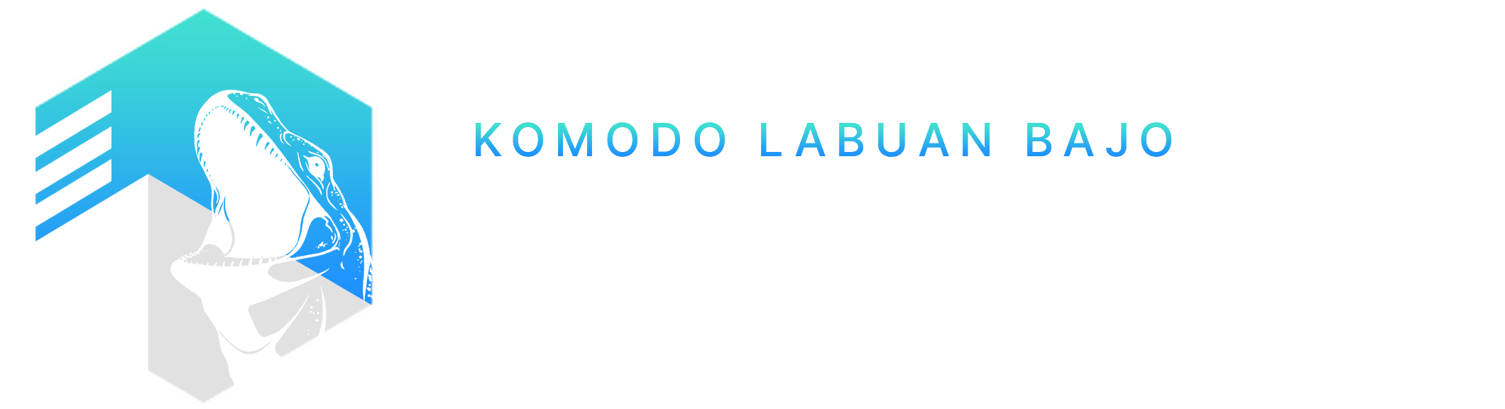 Komodo Labuan Bajo Property