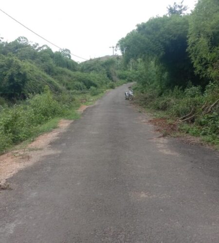 WhatsApp Image 2024-07-26 at 08.42.01 (2)