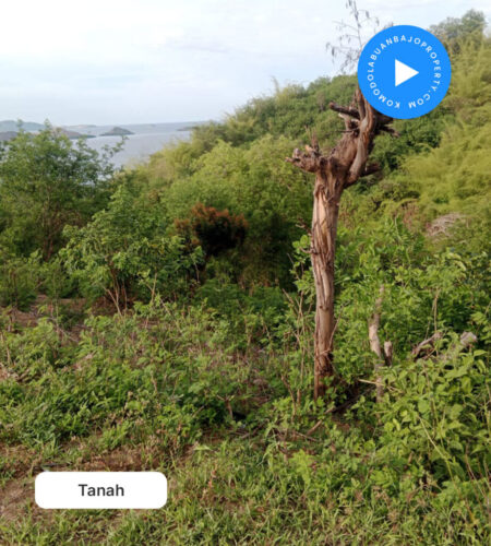 Tanah di Jual Lokasi klumpang desa batu cermin