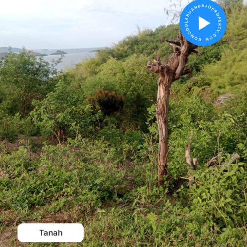 Tanah di Jual Lokasi klumpang desa batu cermin