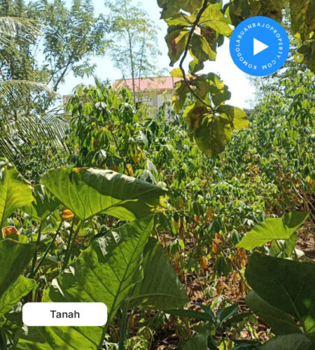 Tanah Dijual Lokasi lancang labuan bajo sebelum PT wings