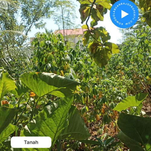 Tanah Dijual Lokasi lancang labuan bajo sebelum PT wings