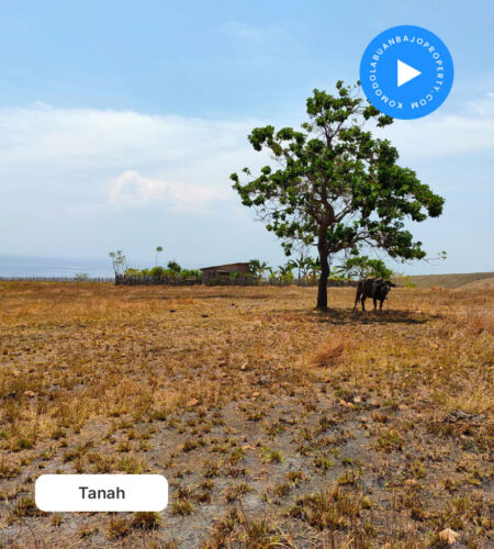 Tanah Di Jual Lokasi lembor selatan